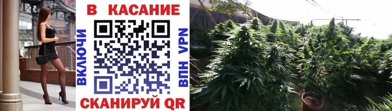 Где купить Заречный Амфетамин ГАШ Псилоцибиновые грибы Cocaine