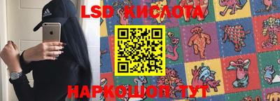 стафф Камышлов