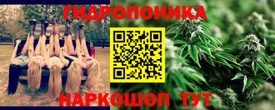 стафф Камышлов
