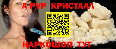 стафф Камышлов