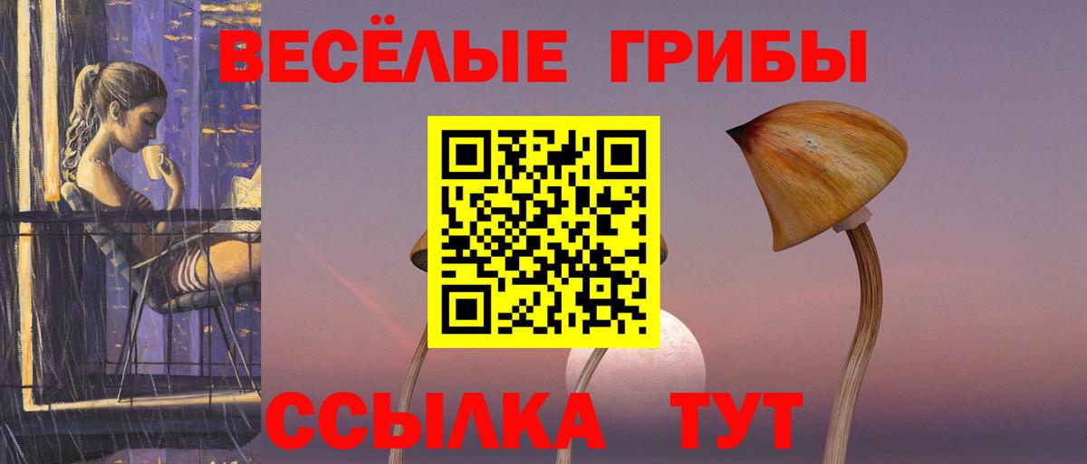 Псилоцибиновые грибы Cubensis  Галлюциногенные грибы ЛСД  купить закладку  Заречный 