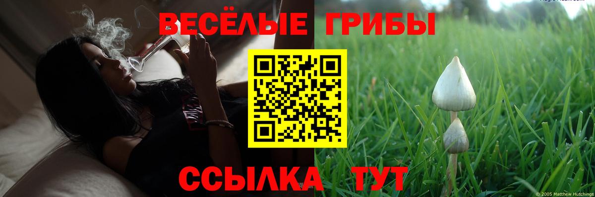 Псилоцибиновые грибы GOLDEN TEACHER Заречный